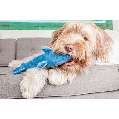 Fluff & Tuff Tank The Shark Dog Toy