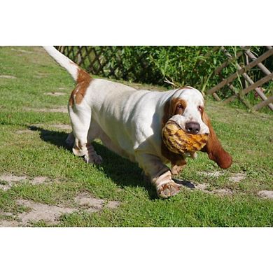 Fluff & Tuff Tiger Ball - Medium (5.5-inch)