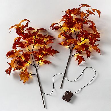 Evergreen Enterprises 2-Piece Indoor / Outdoor Lighted Maple Tree Branch Set