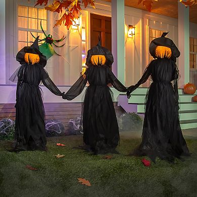 Evergreen Enterprises 3-Piece Lighted Halloween Witch Stakes Set