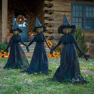 Evergreen Enterprises 3-Piece Lighted Halloween Witch Stakes Set