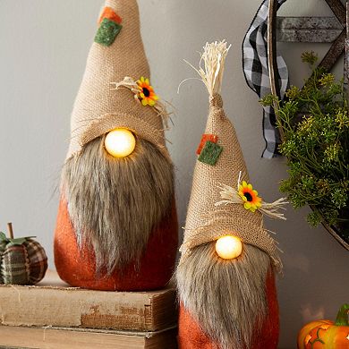 Evergreen Enterprises LED Plush Gnomes 2-Piece Set
