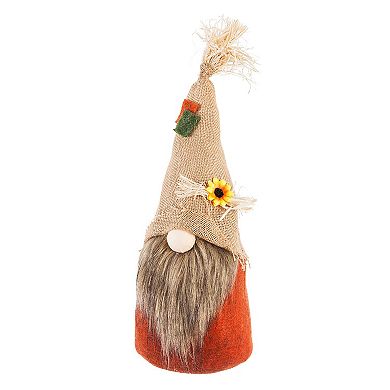 Evergreen Enterprises LED Plush Gnomes 2-Piece Set