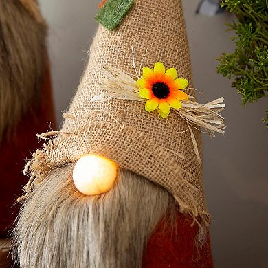 Evergreen Enterprises LED Plush Gnomes 2-Piece Set