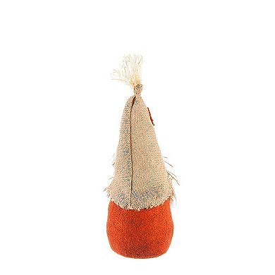 Evergreen Enterprises LED Plush Gnomes 2-Piece Set