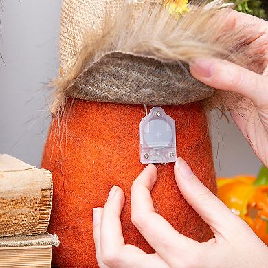 Evergreen Enterprises LED Plush Gnomes 2-Piece Set