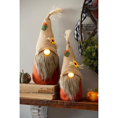 Evergreen Enterprises LED Plush Gnomes 2-Piece Set