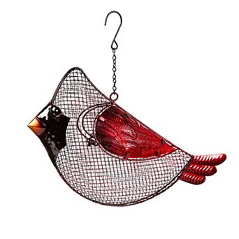 Evergreen Enterprises Cardinal Seed Bird Feeder