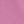 Mauve Orchid