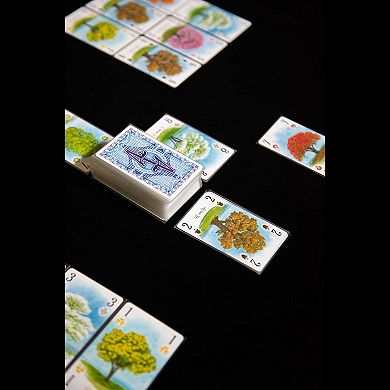 Renegade Games Studios Arboretum Strategy Card Game