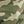 Olive Camo