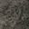 Chocoal