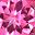 Pink Topaz