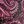 Black Allover Paisley