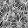 Black Sketch Floral