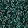 Emerald Green Leaf