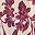 Ivory Claret Floral