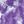 Petal Purple Tie Dye