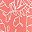 Sweet Coral Palm