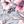 Navy Pink Floral