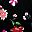 Black Multi Floral