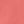 Sweet Coral