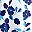 White Blue Flowers
