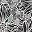 Black Sketch Floral