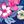 Navy Hibiscus