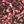 Chocolate Abstract