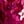 Rich Burgundy Abstract