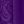 Radiant Purple