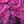 Purple Ombre Damask