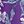Purple Orchid Floral