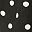 Black White Dot