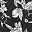 Black White Graphic
