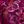 Deep Claret Batik