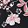 Black Pink Floral