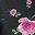 Black Rose