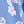 French Blue Floral