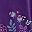 Radiant Purple Multi