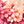 Claret Bloom Patchwork