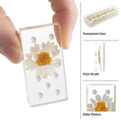 Acrylic 28-piece Daisy Domino Set