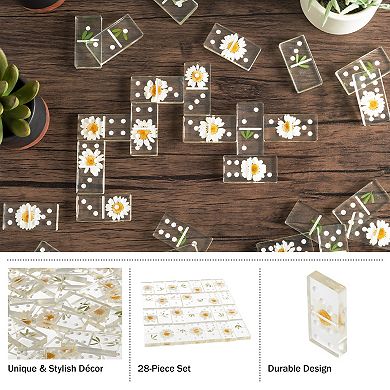 Acrylic 28-piece Daisy Domino Set