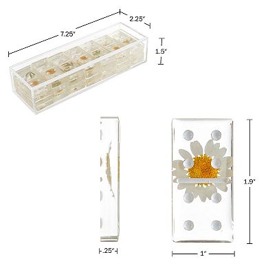 Acrylic 28-piece Daisy Domino Set