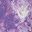 Petal Purple Tie Dye