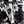 Black Soft Floral
