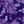 Deep Grape Etched