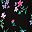 Black Multi Tulip