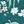 Emerald Green Field